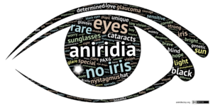 aniridia-word-cloud-licensed
